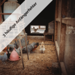 Anfängerfehler, Hühnerhaltung, Stall, Fütterung, Räuber