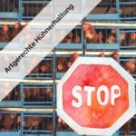 Artgerechte Hühnerhaltung-min