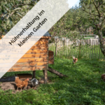Hühnerhaltung im kleinen Garten