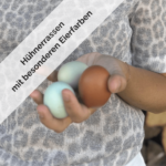 Hühnerrassen mit besonderen Eierfarben (1)-min