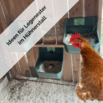 Ideen für Legenester im Hühnerstall-min