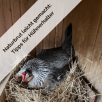 Naturbrut leicht gemacht Tipps für Hühnerhalter-min